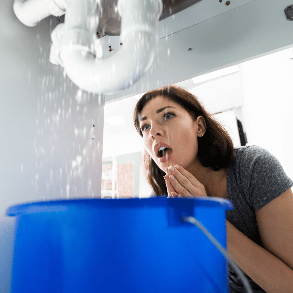 Federal Way Plumbing Leaks & Repairs