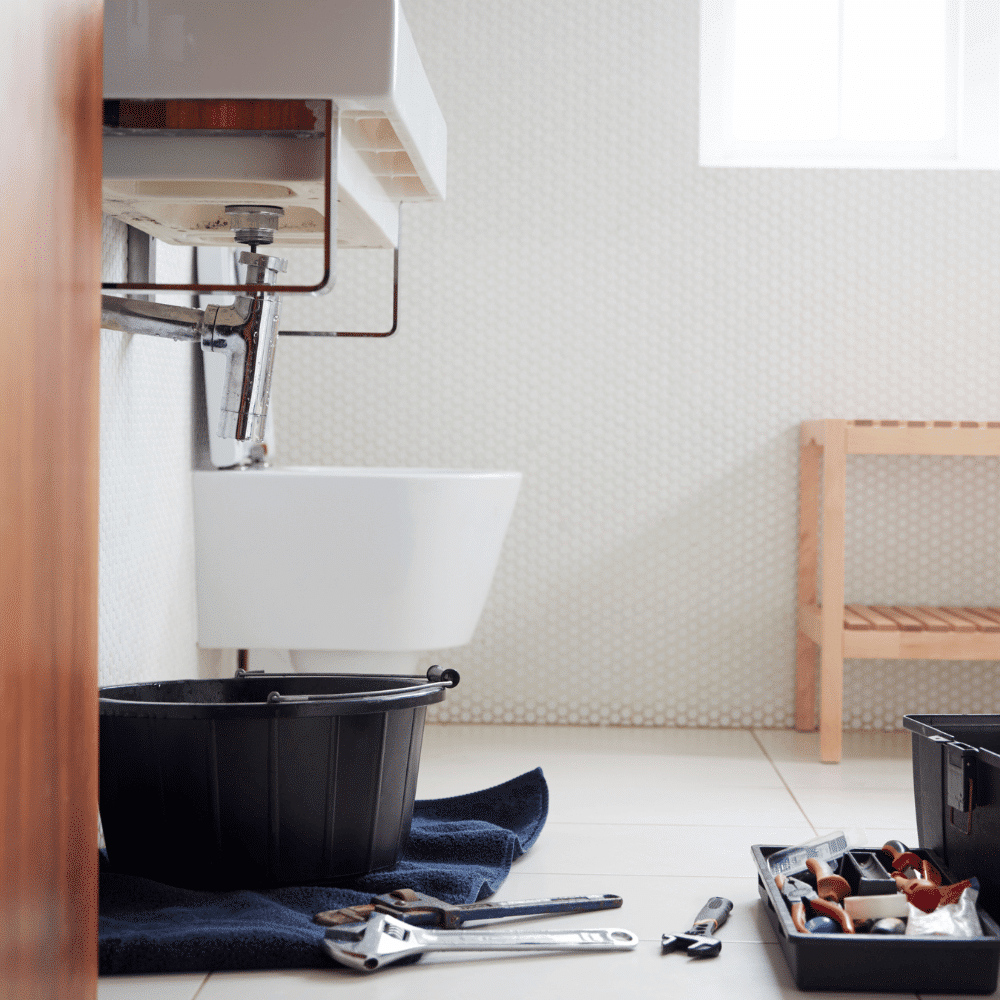 Tacoma Plumbing Leaks & Repairs