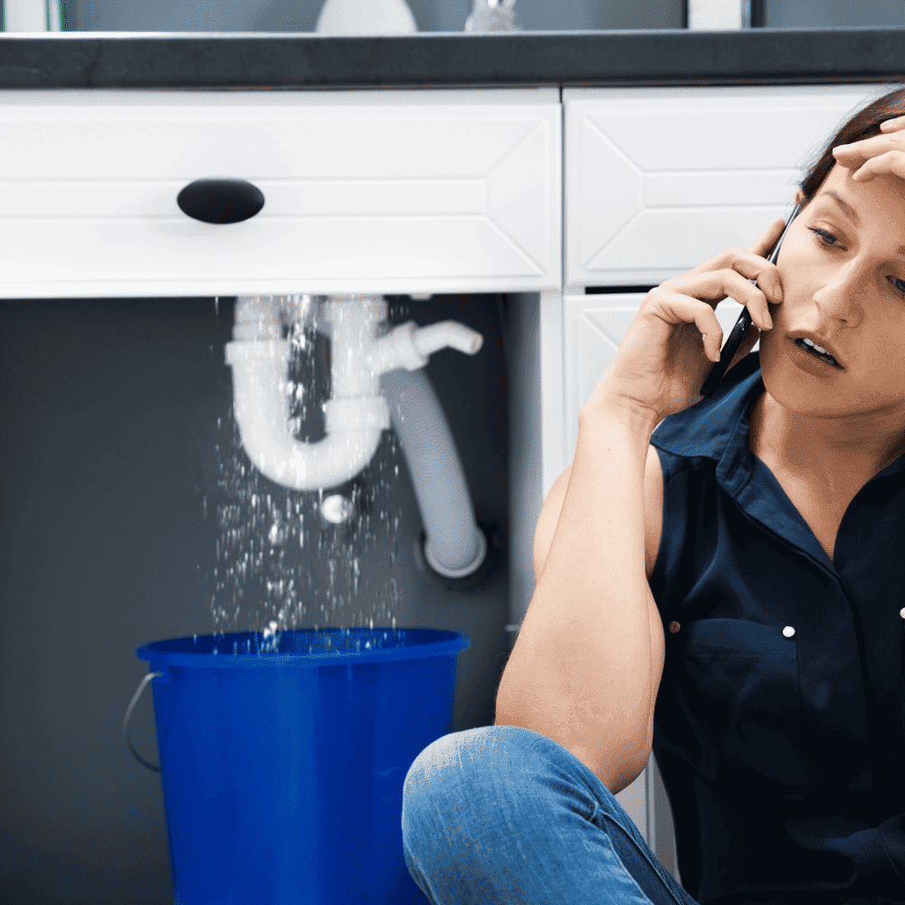 Bellevue Plumbing Leaks & Repairs