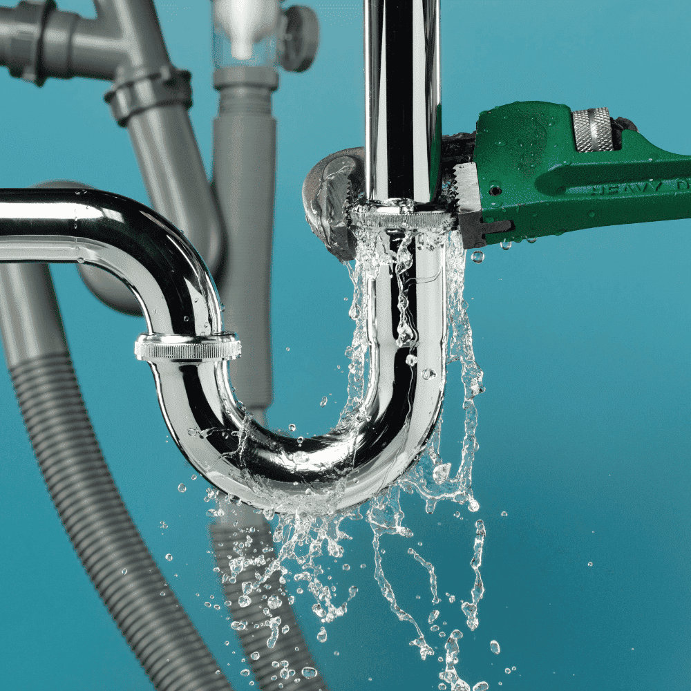 Bellevue Plumbing Leaks & Repairs