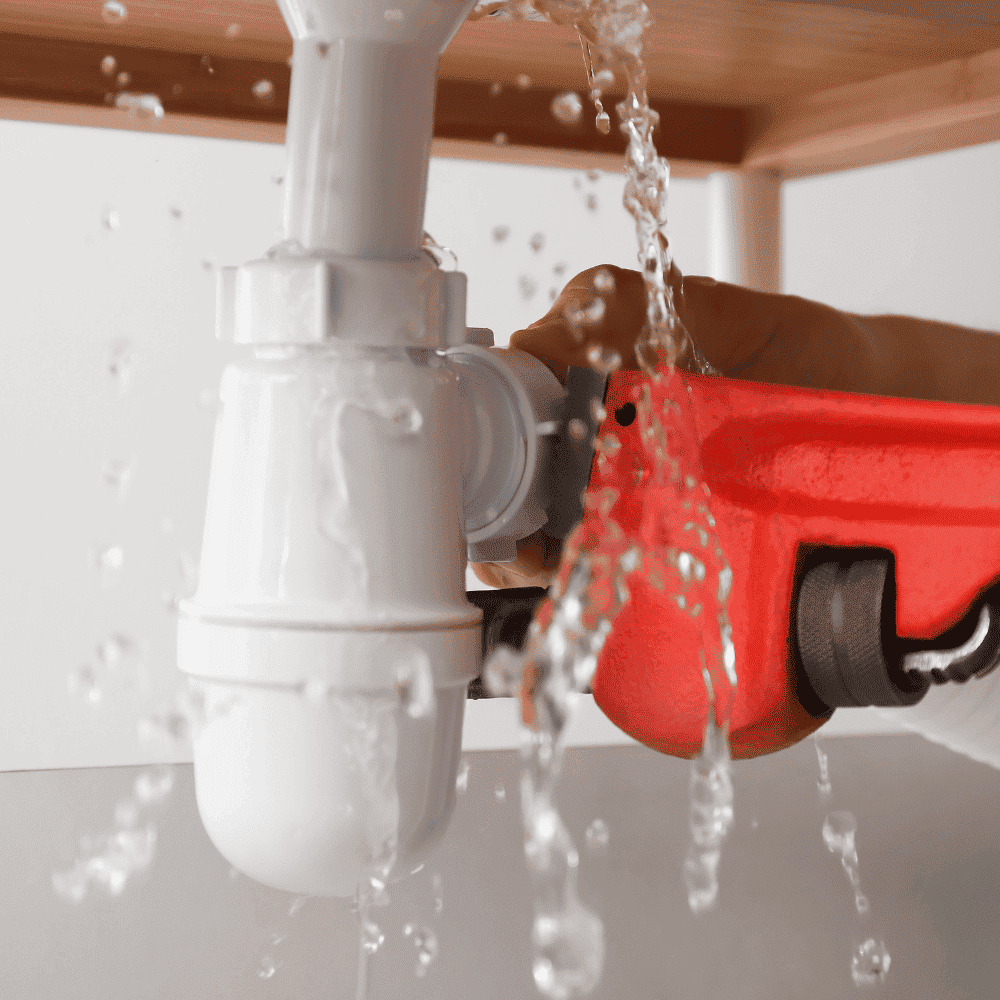 Gig Harbor Plumbing Leaks & Repairs