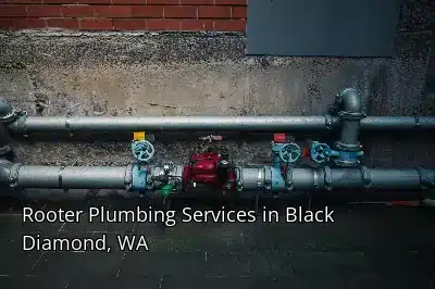 Rooter Plumbing Services in Black Diamond, WA Rooter Plumbing Services in Black Diamond, WA