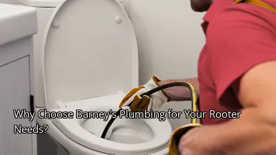Why Choose Barney's Plumbing for Your Rooter Needs? Why Choose Barney's Plumbing for Your Rooter Needs?