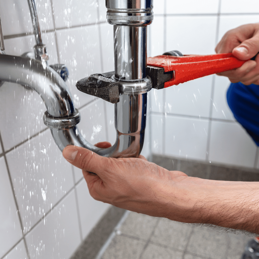 bonney lake plumber