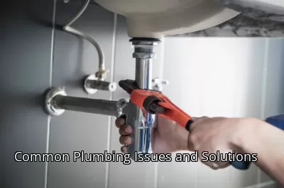 Common Plumbing Issues and Solutions Common Plumbing Issues and Solutions