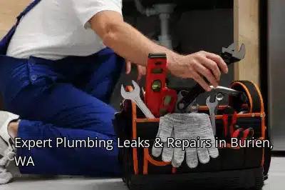 Expert Plumbing Leaks & Repairs in Burien, WA Expert Plumbing Leaks & Repairs in Burien, WA