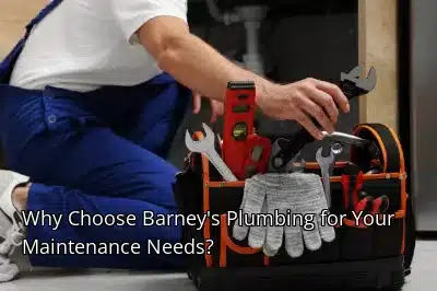 Why Choose Barney's Plumbing for Your Maintenance Needs?