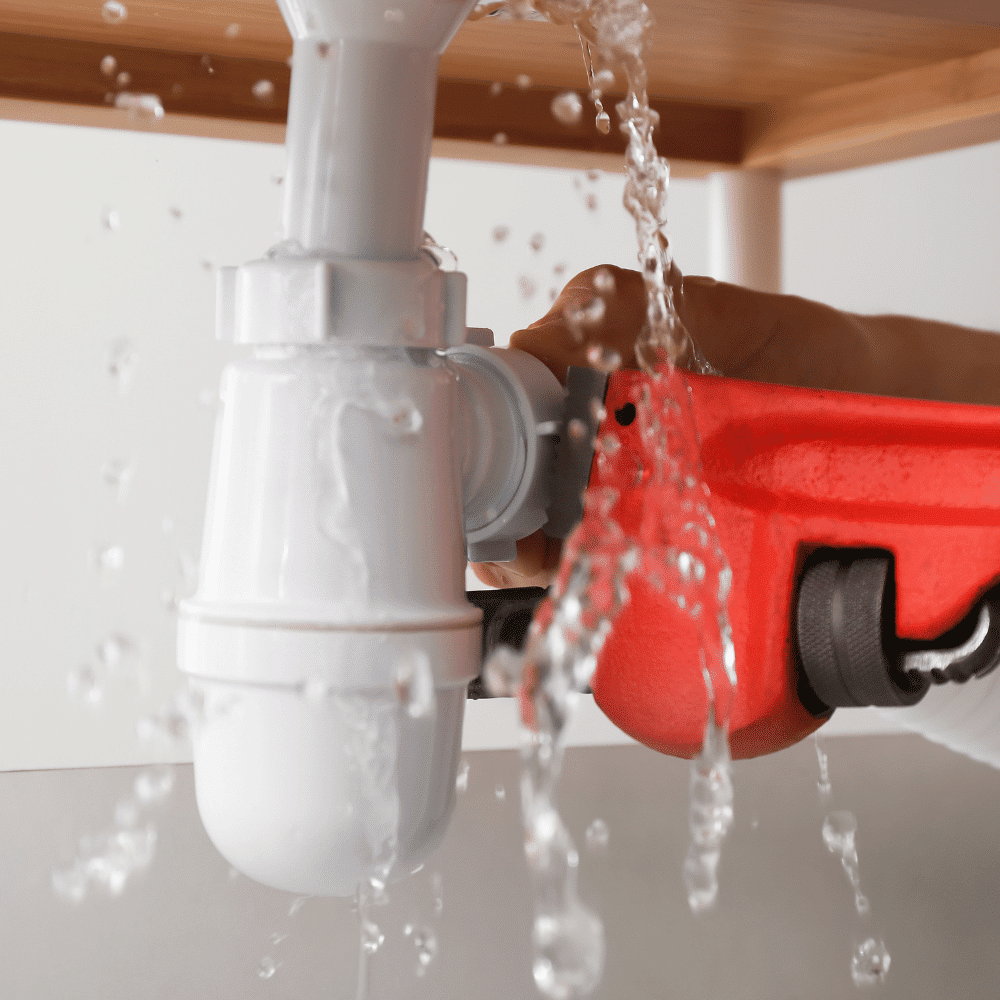 bonney lake leak repair