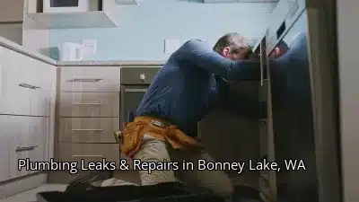 Plumbing Leaks & Repairs in Bonney Lake, WA Plumbing Leaks & Repairs in Bonney Lake, WA