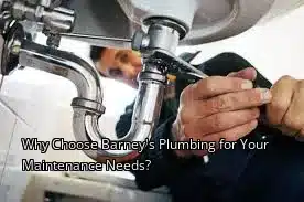Why Choose Barney's Plumbing for Your Maintenance Needs?