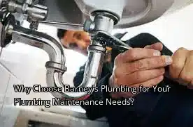 Why Choose Barney's Plumbing for Your Plumbing Maintenance Needs?