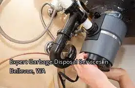 Expert Garbage Disposal Services in Bellevue, WA