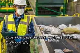 Expert Garbage Disposal Services in Black Diamond, WA