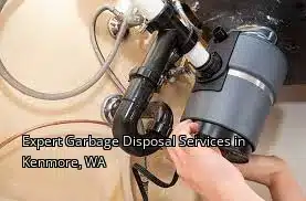 Expert Garbage Disposal Services in Kenmore, WA