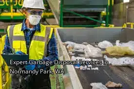 Expert Garbage Disposal Services in Normandy Park, WA