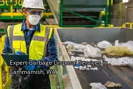 Expert Garbage Disposal Services in Sammamish, WA