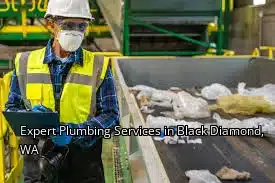 Expert Plumbing Services in Black Diamond, WA