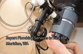 Expert Plumbing Services in East Hill Meridian, WA