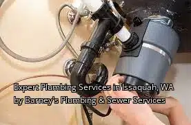 Expert Plumbing Services in Issaquah, WA by Barney's Plumbing & Sewer Services