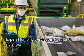 Expert Plumbing Services in Normandy Park, WA