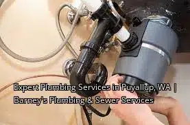 Expert Plumbing Services in Puyallup, WA | Barney's Plumbing & Sewer Services