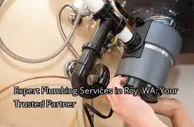 Expert Plumbing Services in Roy, WA: Your Trusted Partner