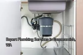Expert Plumbing Services in Sammamish, WA