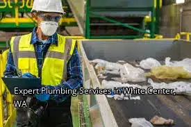 Expert Plumbing Services in White Center, WA