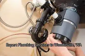 Expert Plumbing Services in Woodinville, WA