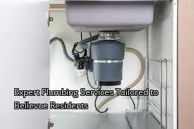 Expert Plumbing Services Tailored to Bellevue Residents Expert Plumbing Services Tailored to Bellevue Residents