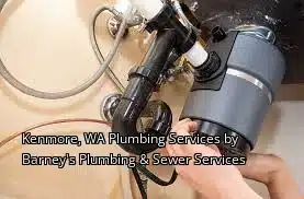 Kenmore, WA Plumbing Services by Barney's Plumbing & Sewer Services
