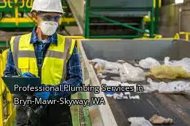 Professional Plumbing Services in Bryn-Mawr-Skyway, WA