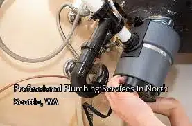 Professional Plumbing Services in North Seattle, WA