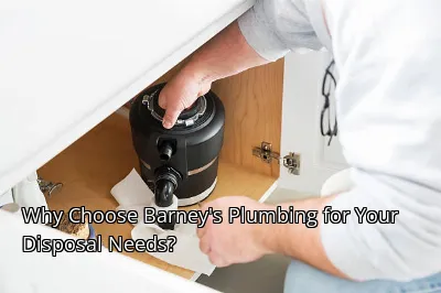 Why Choose Barney's Plumbing for Your Disposal Needs? Why Choose Barney's Plumbing for Your Disposal Needs?
