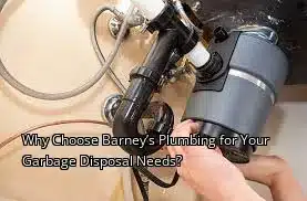 Why Choose Barney’s Plumbing for Your Garbage Disposal Needs? Why Choose Barney’s Plumbing for Your Garbage Disposal Needs?