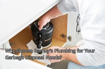 Why Choose Barney's Plumbing for Your Garbage Disposal Needs? Why Choose Barney's Plumbing for Your Garbage Disposal Needs?