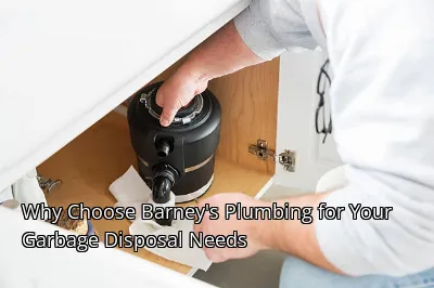 Why Choose Barney's Plumbing for Your Garbage Disposal Needs Why Choose Barney's Plumbing for Your Garbage Disposal Needs