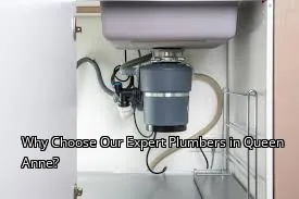 Why Choose Our Expert Plumbers in Queen Anne? Why Choose Our Expert Plumbers in Queen Anne?