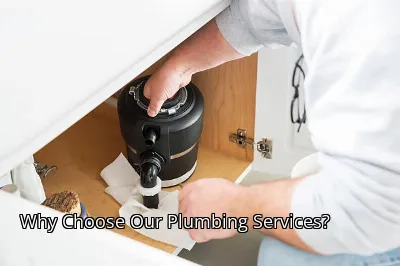 Why Choose Our Plumbing Services? Why Choose Our Plumbing Services?