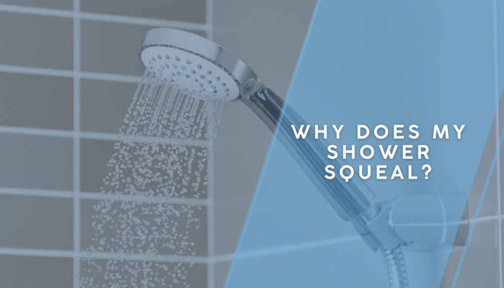 Why Does My Shower Squeal?