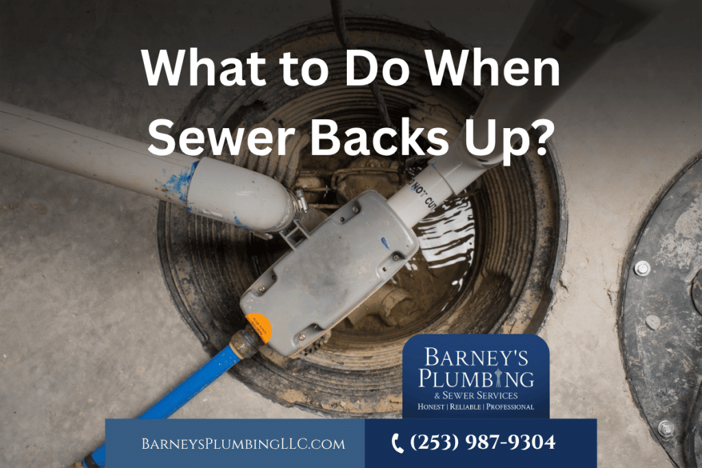 What to Do When Sewer Backs Up