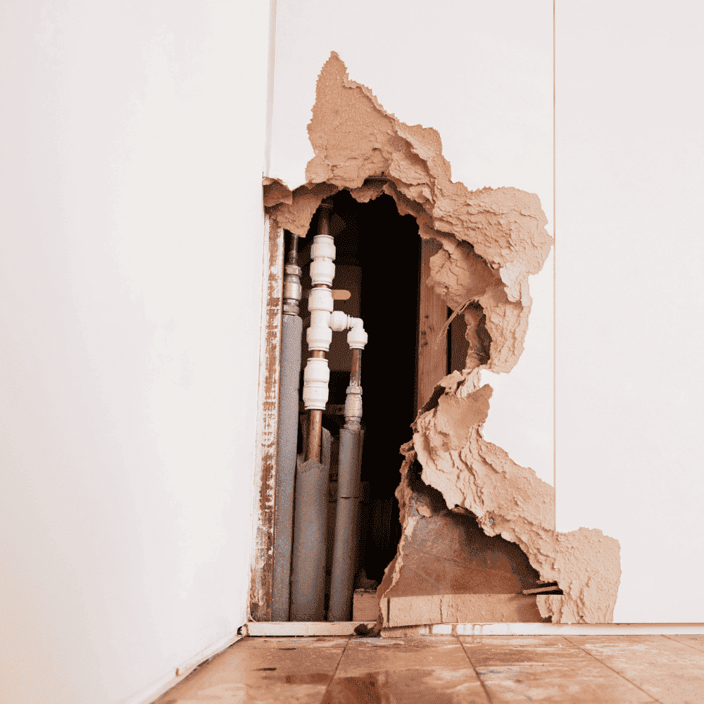 emergency plumber bellevue emergency plumber bellevue