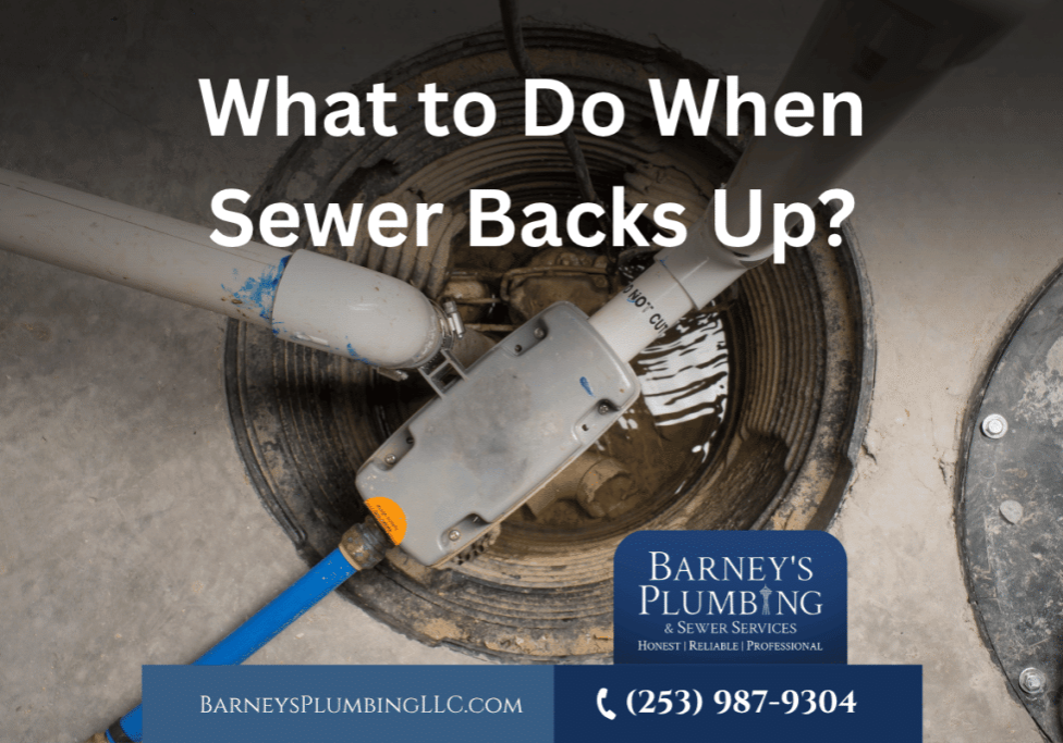 What to Do When Sewer Backs Up