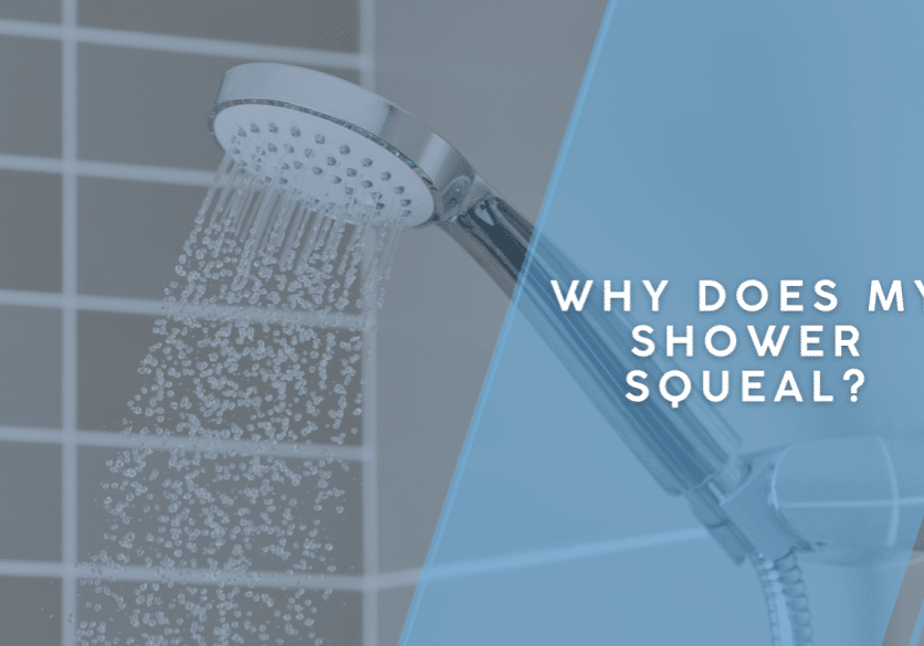 Why Does My Shower Squeal?